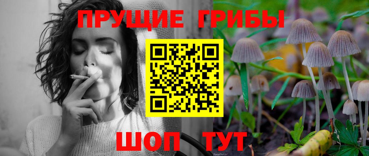 Краснознаменск  Галлюциногенные грибы Psilocybe  Вход с VPN 